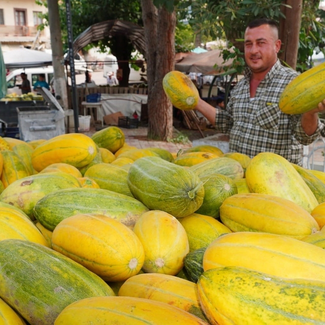 Tavan arasından çıkan tohumlar Altınbaş Kavununu yeniden canlandırdı