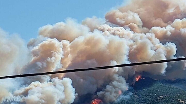 Çanakkale'de 2 ayda çıkan orman yangınlarında 541 hektar alan zarar gördü