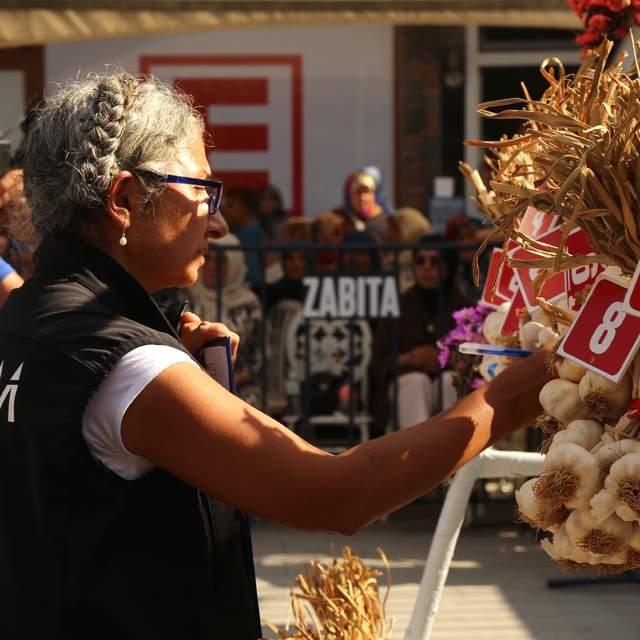 Dünyaca ünlü Taşköprü sarımsağı festivalde yarıştı: 80 demet arasından en i...