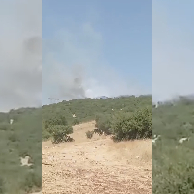 Adıyaman'da orman yangını
