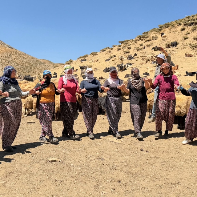 Yaylada süt sağımı sonrası halay çekerek stres atıyorlar