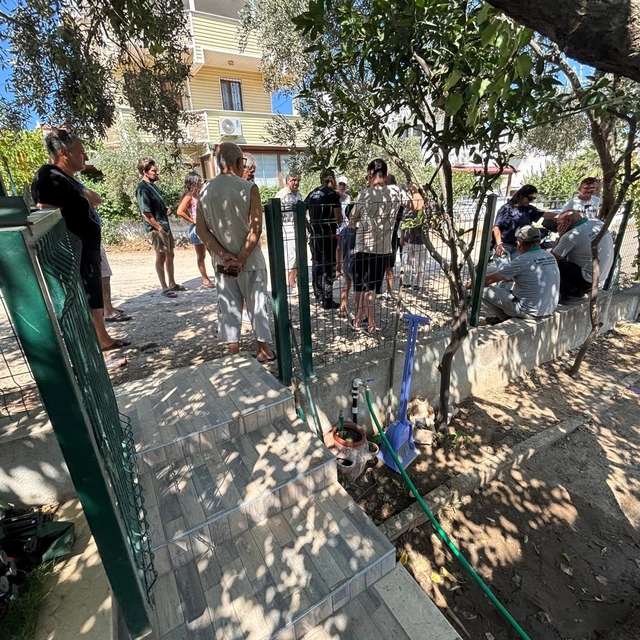 Burhaniye'de ağaç kesilmesine isyan