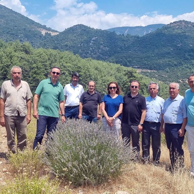 Tıbbi ve Aromatik Bitkileri yerinde inceleme