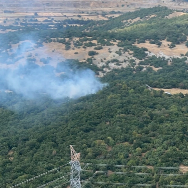 Kütahya'da orman yangını büyümeden söndürüldü