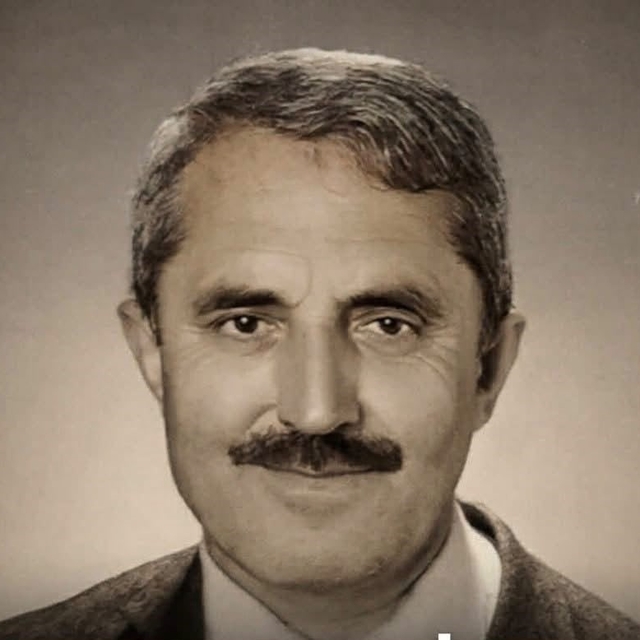Ordu'da otomobil ağaca çarptı: 1 ölü
