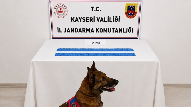 Kayseri'de jandarmadan uyuşturucu operasyonu: 1 gözaltı
2 bin 700 adet uyuşturucu hap ele geçirildi