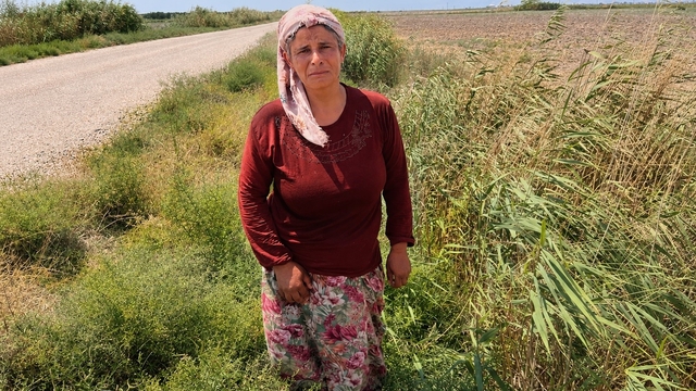 Süt satarak geçimini sağlayan kadının 2 buzağısı hastalanıp, ineği de su kanalına düşerek telef oldu