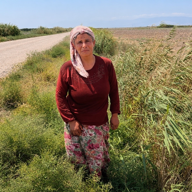 Süt satarak geçimini sağlayan kadının 2 buzağısı hastalanıp, ineği de su ka...