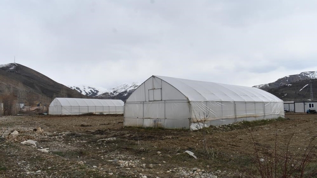 Erzincan'da sera örtüsü yenileme desteği başvuruları uzatıldı