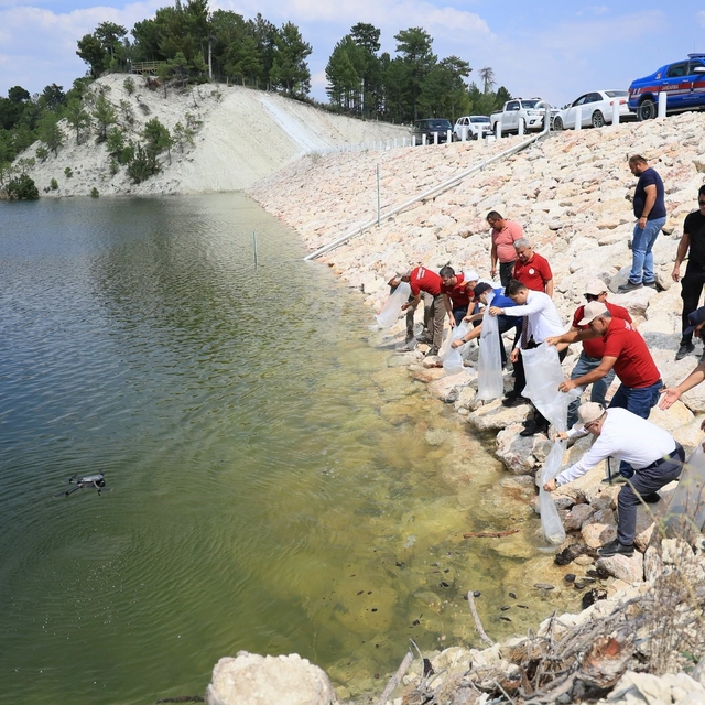 Denizli'de iç sulara can suyu: İl genelinde 1 milyon 386 bin balık bırakıld...