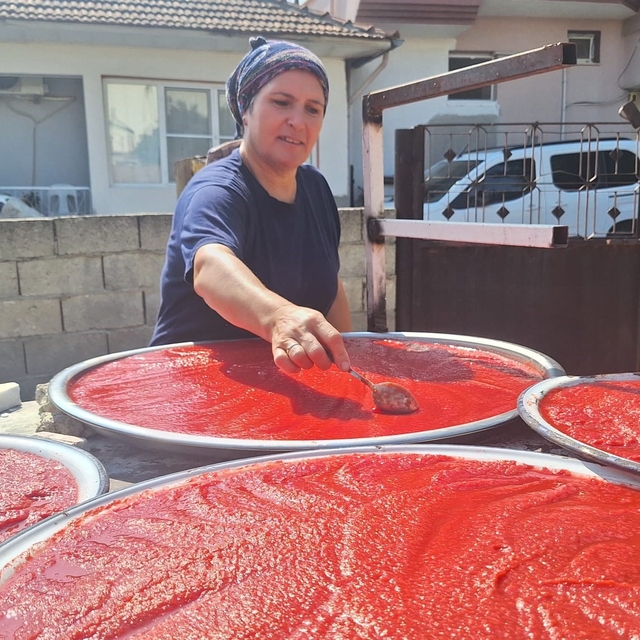 Sarıgöl'de kışlık salça hazırlıkları başladı
Ev yapımı salçalar imece usulü...