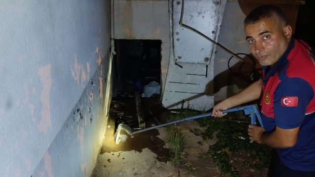 Evin deposuna giren yılan ekipleri harekete geçirdi