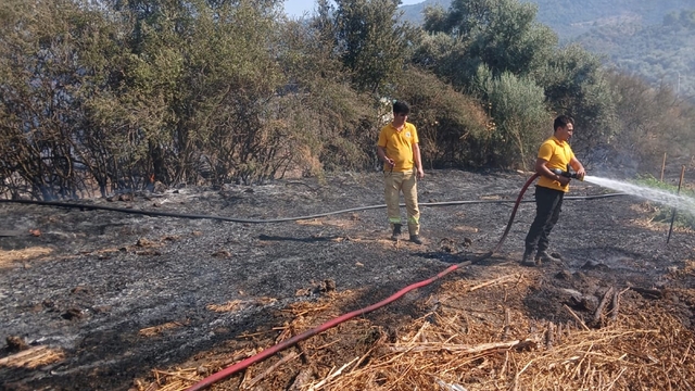 Milas Bafa'da tarım arazisindeki yangın söndürüldü