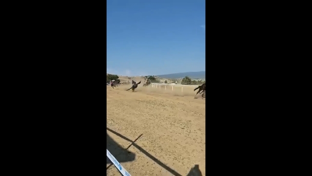 Kastamonu'da festivalde at yarışında kaza: 1 jokey yaralı, 2 at öldü