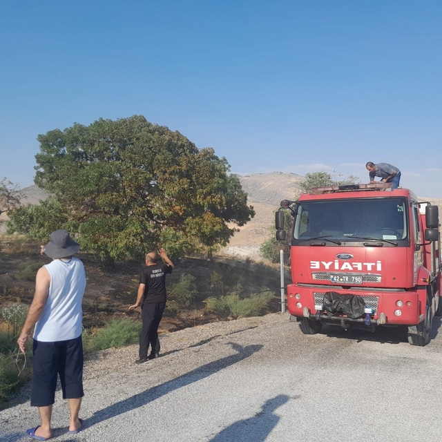 Karapınar'da ot yangını paniğe neden oldu