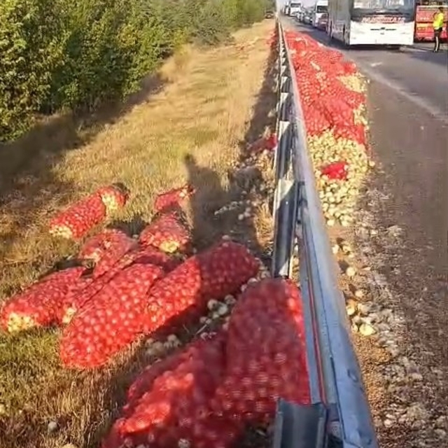 Kamyon devrildi, tonlarca soğan yola saçıldı: 2 yaralı