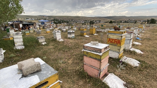 Kars'ta arıcılardan dolu ve fırtınaya karşı 'taşlı' önlem