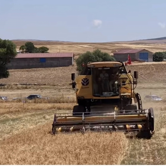 Kütahya'da 18 farklı nohut çeşidi aynı tarlada tanıtıldı