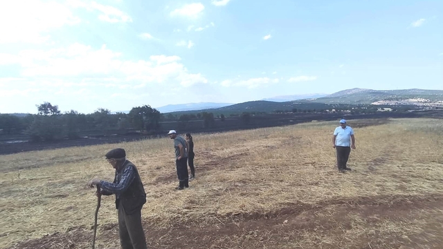 Kütahya'da yangının ardından tarım arazilerinde hasar tespiti