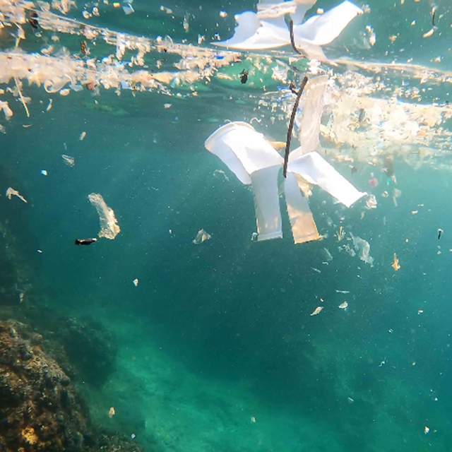 Mikroplastik kirliliği, su altında daha yoğun