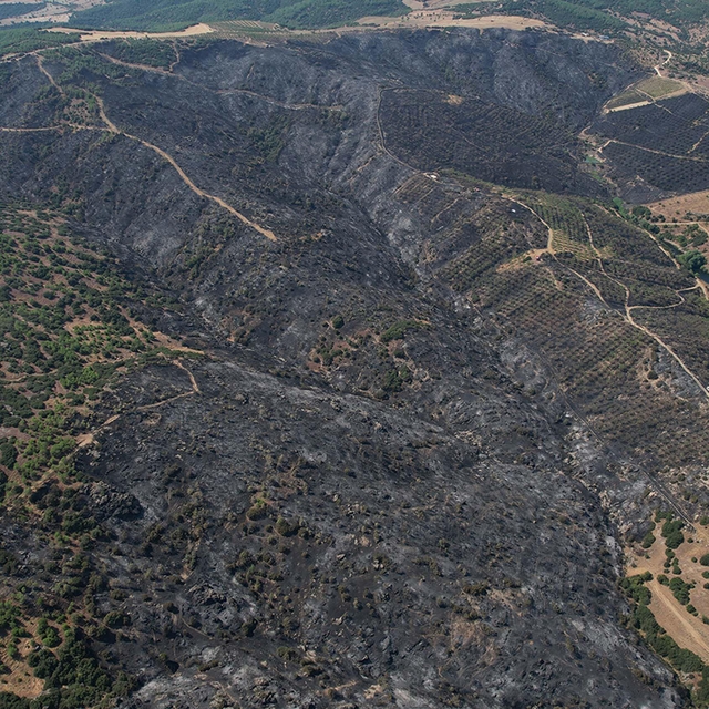 Manisa'daki orman yangınında zarar gören alanlar dronla görüntülendi