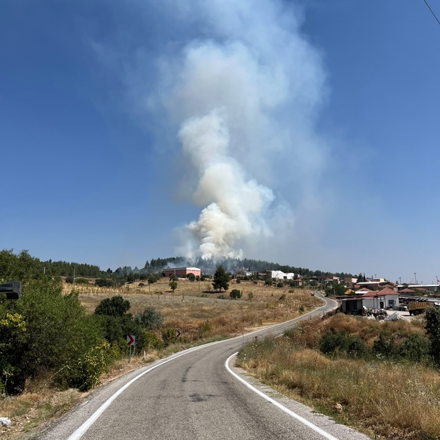 Denizli'de orman yangını hızlı müdahaleyle kontrol altına alındı