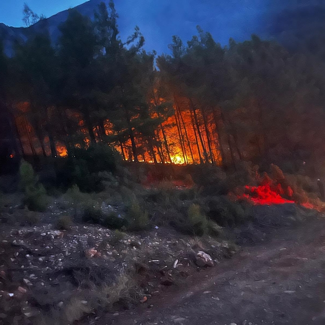 Alanya'da ormanlık alanda çıkan yangın kontrol altına alındı