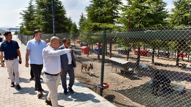 Başkan Hakan Şehirli Hayvan Bakımevi'ni ziyaret etti
Altıeylül hayvan bakımevinde çalışmalar yerinde incelendi