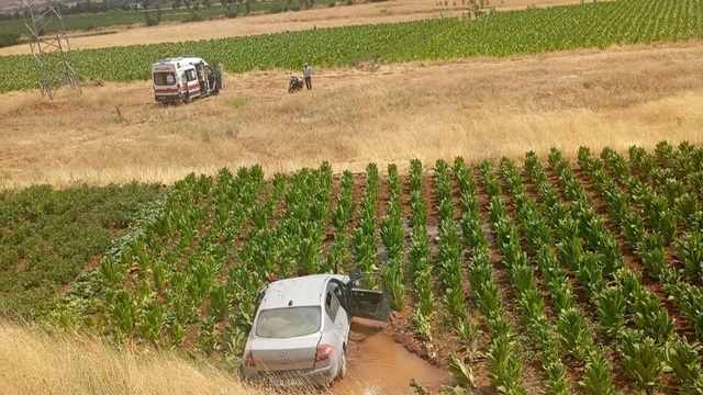 Malatya'da otomobil tütün tarlasına düştü: 3 yaralı
