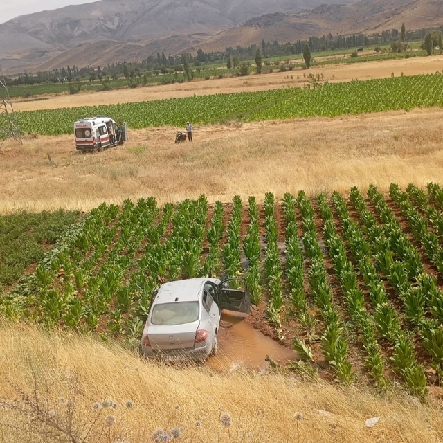 Malatya'da otomobil tütün tarlasına düştü: 3 yaralı
