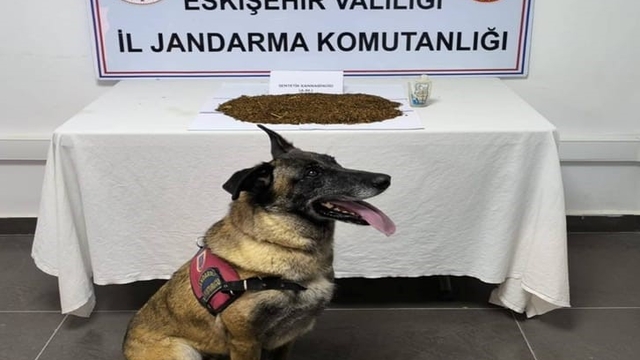 Jandarma ekiplerinden uyuşturucu operasyonu, 361 gram bonzai ele geçirildi
Evinde uyuşturucu bulunan şüpheli tutuklandı