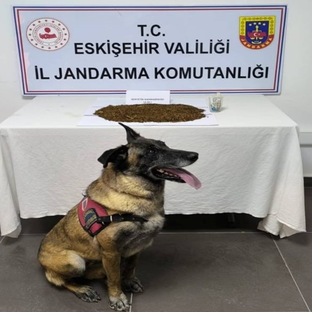 Jandarma ekiplerinden uyuşturucu operasyonu, 361 gram bonzai ele geçirildi...