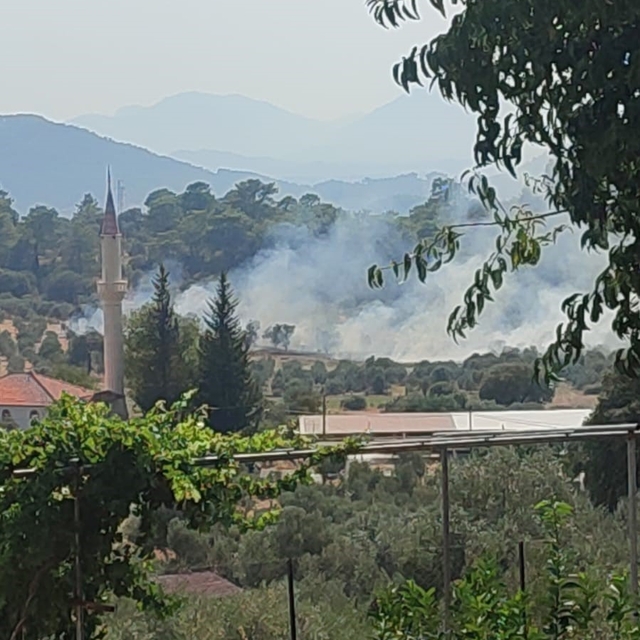 Dalaman'da orman yangını ekiplerin hızlı müdahalesi ile kontrol altına alın...