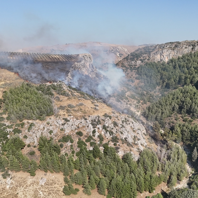 Hatay'da orman yangını çıktı