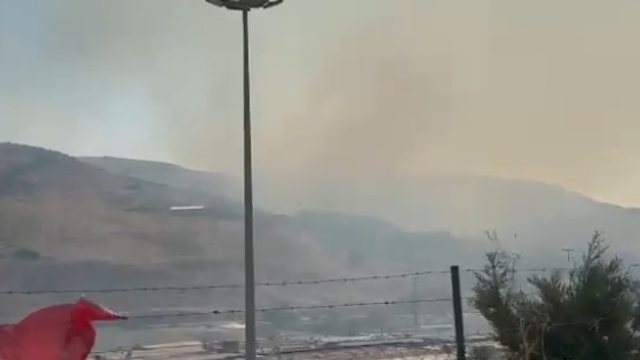 Hatay'da orman yangını