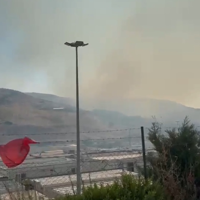 Hatay'da orman yangını