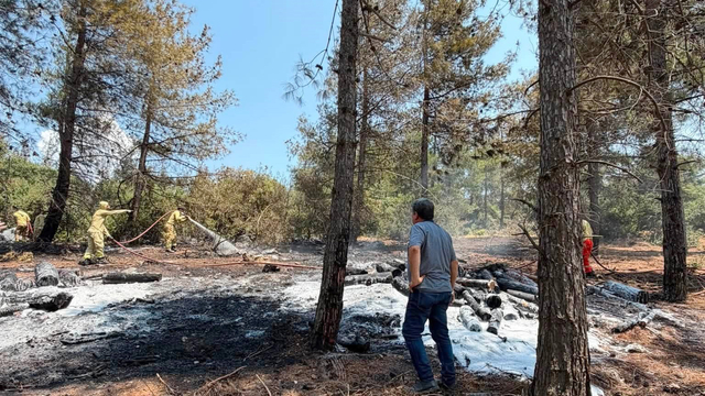 Gaziantep'te 1 dönüm orman yandı