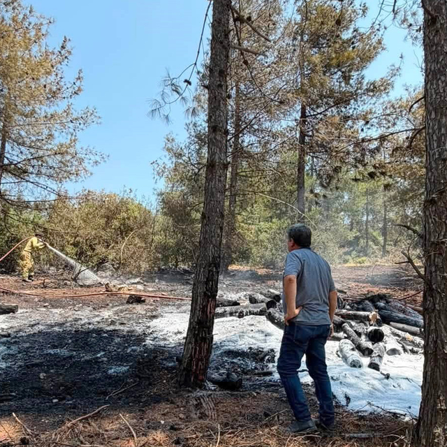 Gaziantep'te 1 dönüm orman yandı