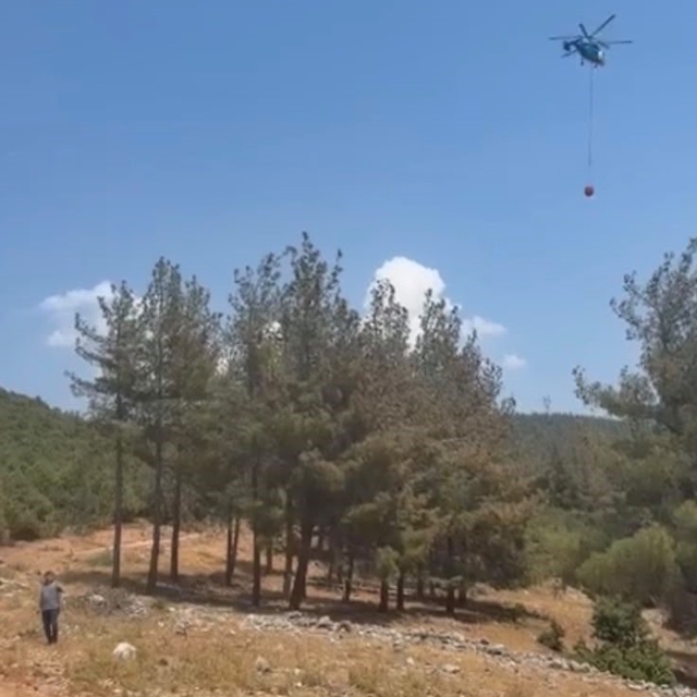 Gaziantep'te orman yangını: Havadan ve karadan müdahaleyle söndürüldü