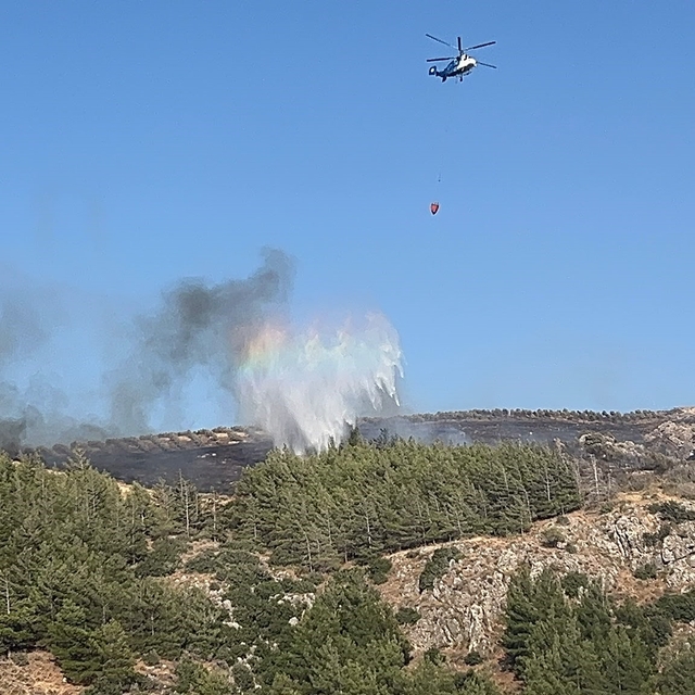 Hatay'da orman yangınına havadan ve karadan müdahale sürüyor
