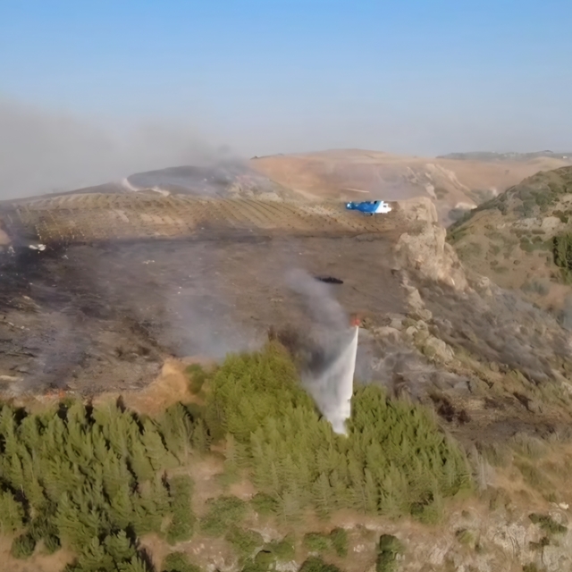 Hatay'da orman yangını (2)