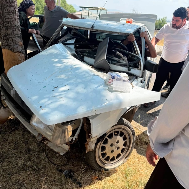 Elazığ'da otomobil ağaca çarptı: 1 yaralı