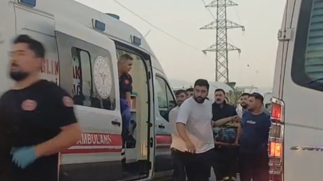 Galeri
