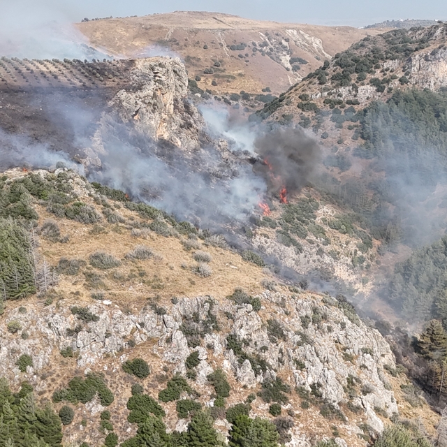 Hatay'daki orman yangını kontrol altına alındı