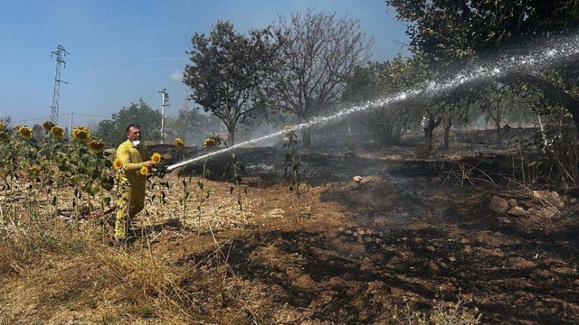 Bilecik'te ot yangını korkuttu