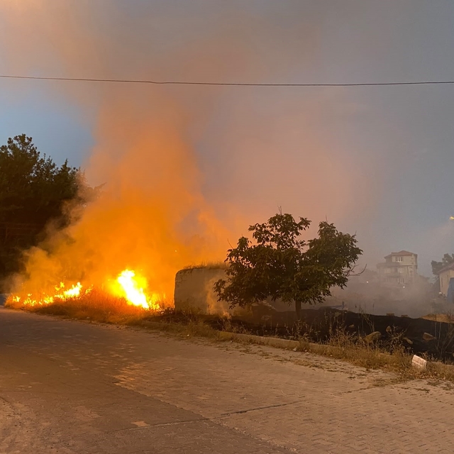 Çardak'ta yerleşime yakın boş arazide çıkan yangın korkuya neden oldu