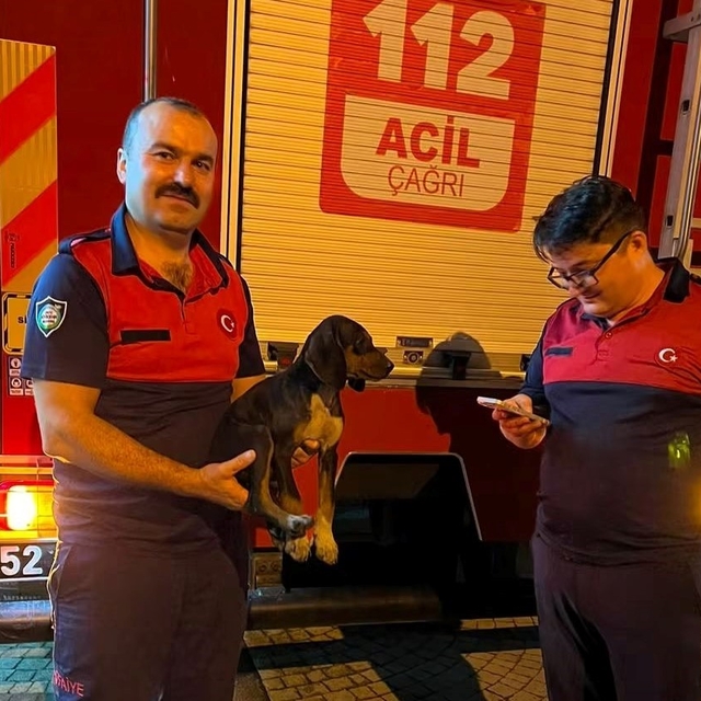 Depoya düşen köpek, itfaiye ekiplerince kurtarıldı