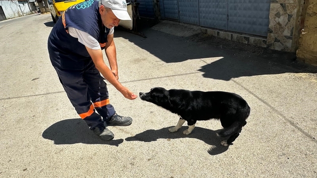 Sahibi ölen "Dayı"yı yalnız bırakmayan temizlik görevlisinin kalp ısıtan hikayesi