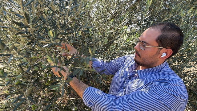 ABD'nin gümrük vergisi kararı zeytinyağı sektörünü etkileyecek...
Ayvalık Ticaret Odası Genç Girişimciler Kurulu Başkanı Mustafa Kürlek:
"ABD'nin kararıyla zeytinyağında rekabet gücümüzü olumsuz etkilenir"