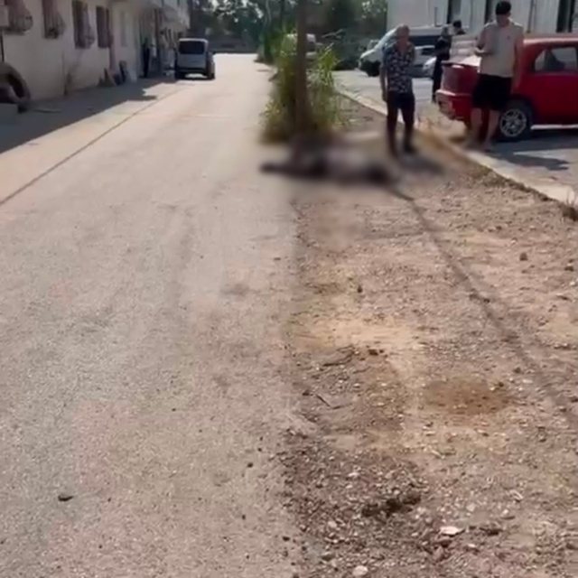 Eşini ve eniştesini tabancayla öldürdü